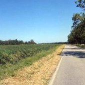 Sod Farm Roads