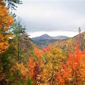 Raven Cliffs Wilderness Area