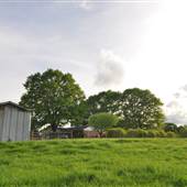 Walker Farms
