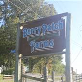 Berry Patch Farms