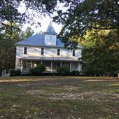 Amity School