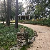 Beautiful Cottage on 2 acres in the city of ATL