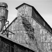 Pulaski St Mill