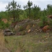 92 Acres Undeveloped and Intown