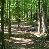 Lucky Shoals Park
