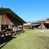 McBrayer Ranch