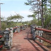 Panola Mountain State Park