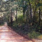 Liberty Hill Road
