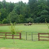 Rolling Hills Horse Ranch