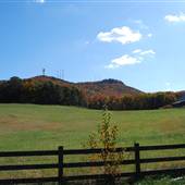 Forsyth County Landscapes