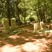 Historic Sylvester Cemetery