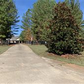 Frogbottom Farm
