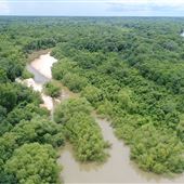 Altamaha River near Beard's Bluff County Boat Ramp