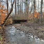 fuzzy farms - 178 acres w/creeks