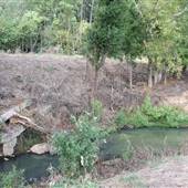 Ravine behind Ansley Mall