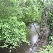 Stream Behind Westminster