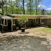 Mid century modern cabin on a pond