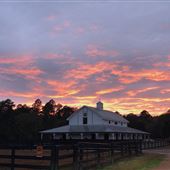 Red Oaks Plantation