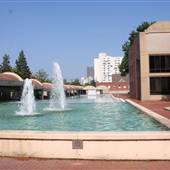 King Center, The