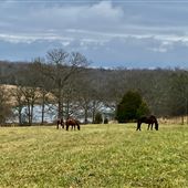 90 Acre Farm with Private Lake
