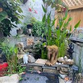 African Zen Oasis