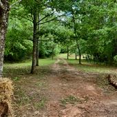 Secluded 7 Acres in the Woods