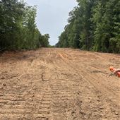 30 acres of woods