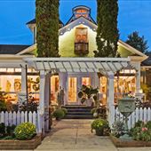 The Cypress