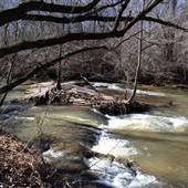 North Oconee River - Hagan Estate