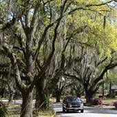 Downtown Avenues
