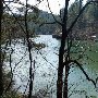 Lake Seed