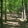 Lucky Shoals Park