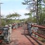 Panola Mountain State Park
