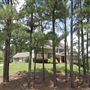 Large 6-Bedroom Home w/ Finished Basement