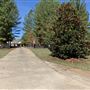 Frogbottom Farm