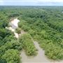 Altamaha River near Beard's Bluff County Boat Ramp