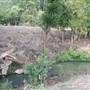 Ravine behind Ansley Mall
