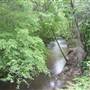 Stream Behind Westminster