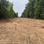 30.81 acres