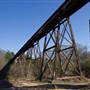 Alcovy Trestle