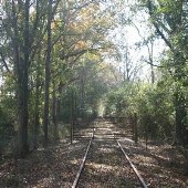 Roosevelt Railroad