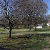 Rollins Ranch