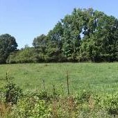 Whitney Road