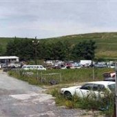 Tommy's New & Used Auto Parts