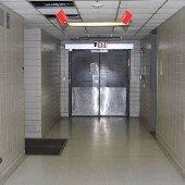 Tunnels at Emory University