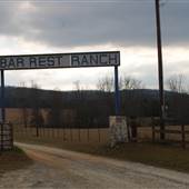 Good Shepherd Riding Academy