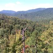 Old Hickory Ridge Estates