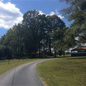 600 Acre Farm w/5 Houses
