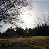 Netherfield Farm
