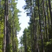 Historic Baptisimal Trail